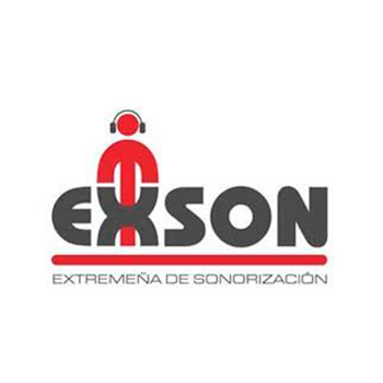 exson